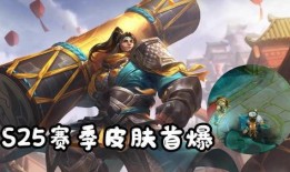 苏烈爆料皮肤视频,神秘视频曝光，特效与造型引期待