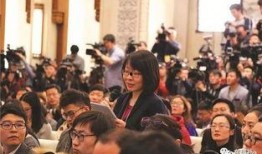 新加坡记者爆料新闻视频,独家揭秘